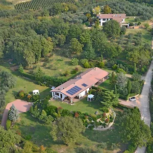 Romy Rocker Bed & Breakfast